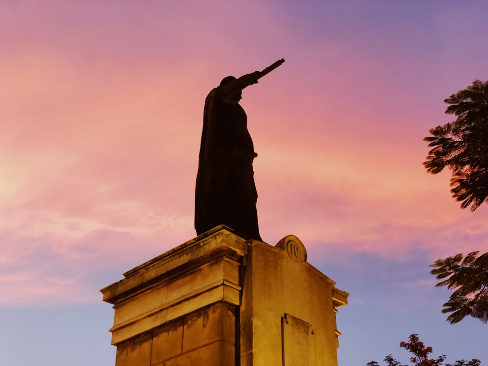 human statue during golden hour