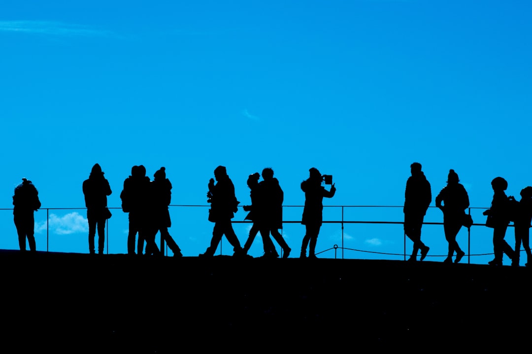 silhouette of people