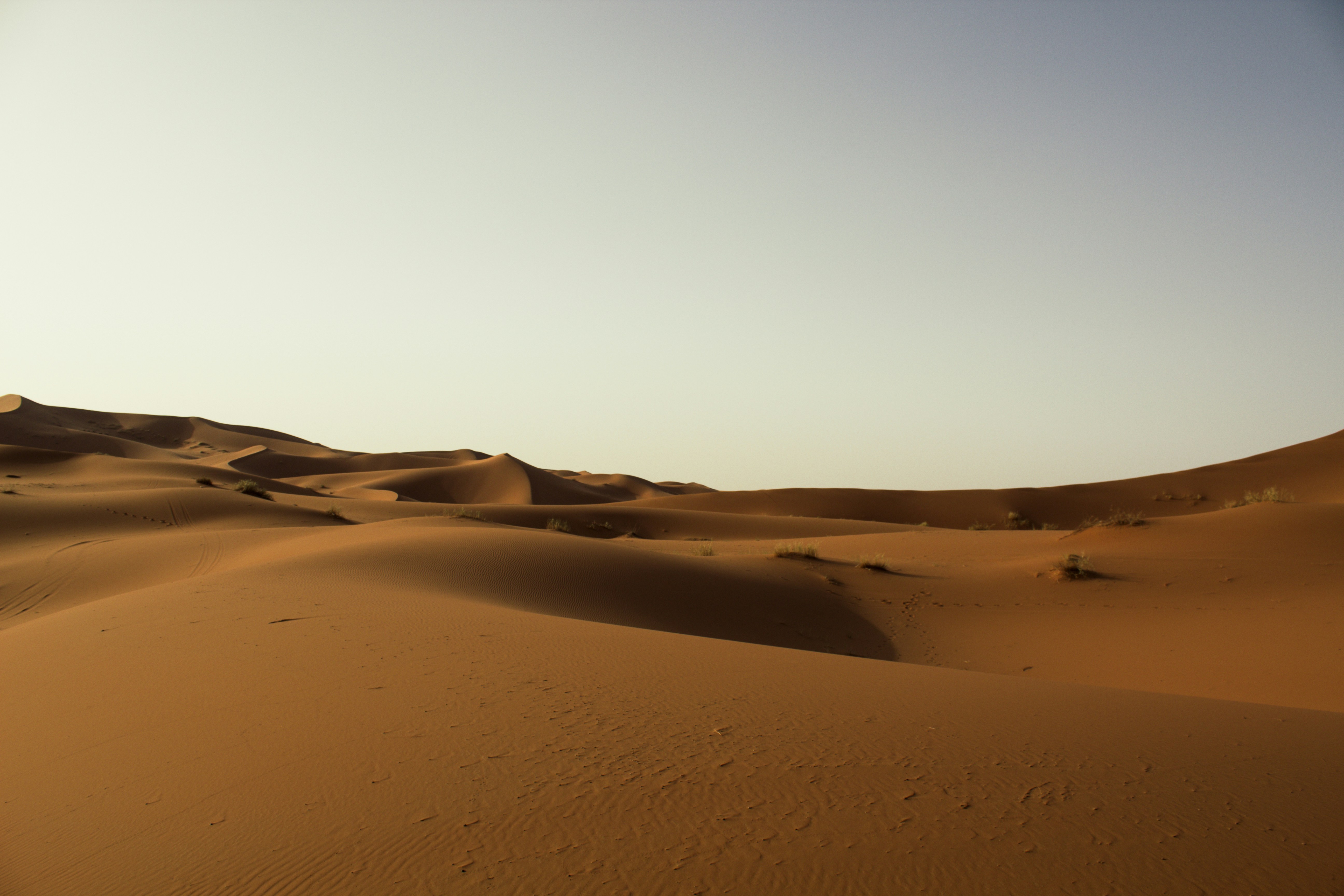 Photo by theastrowizard