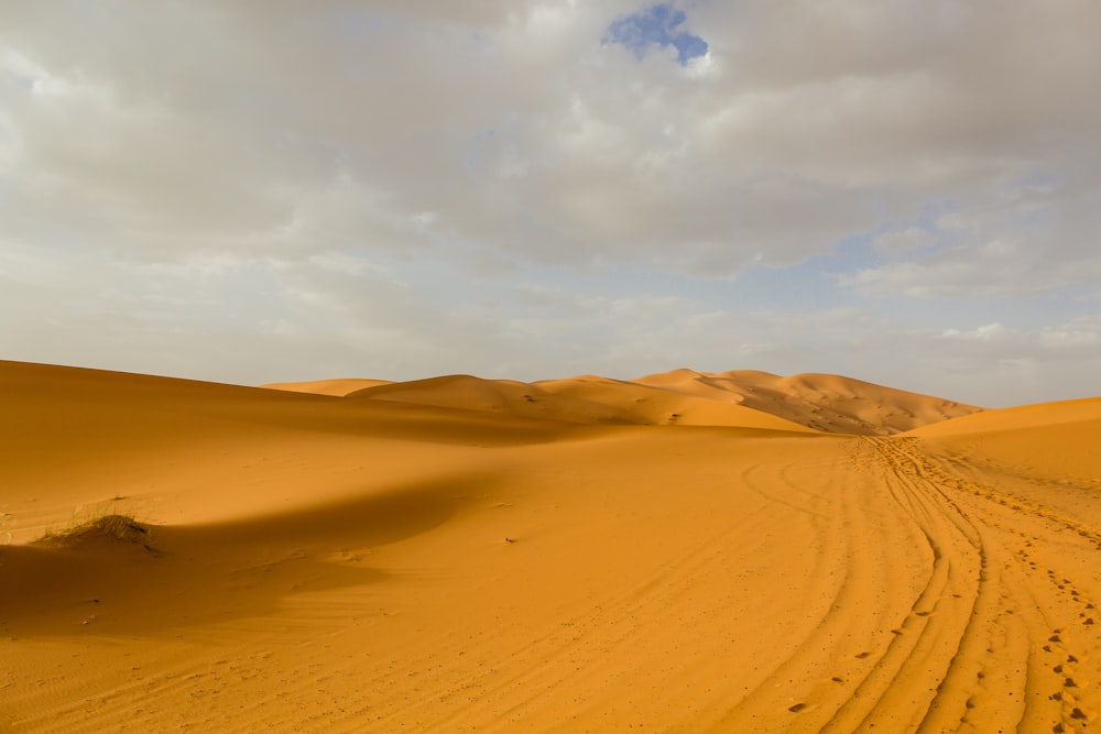 brown desert