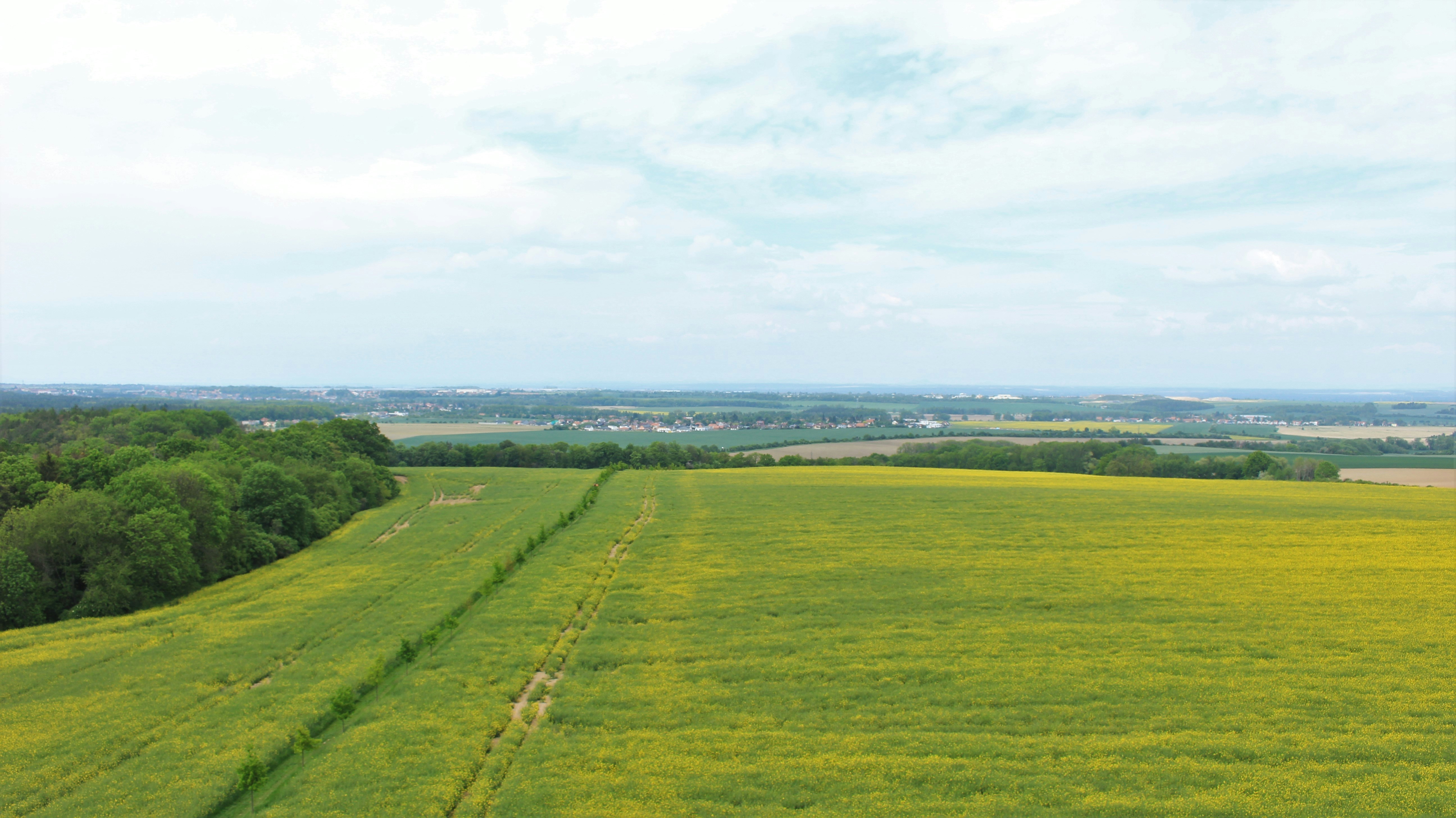 Photo by marjorylucabaxter