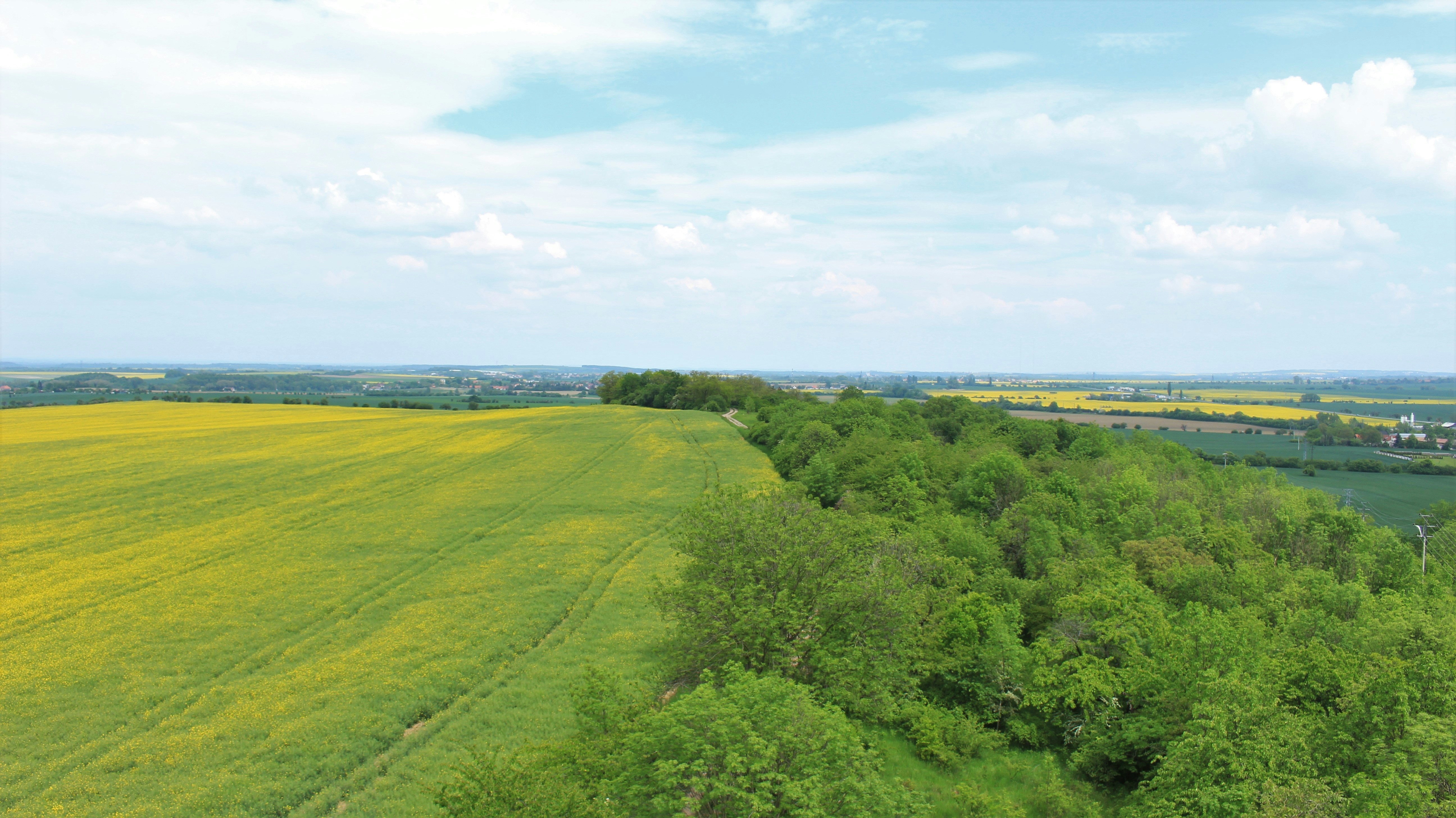 Photo by marjorylucabaxter