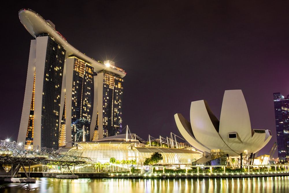 Marina bay Sands Singapore at night time