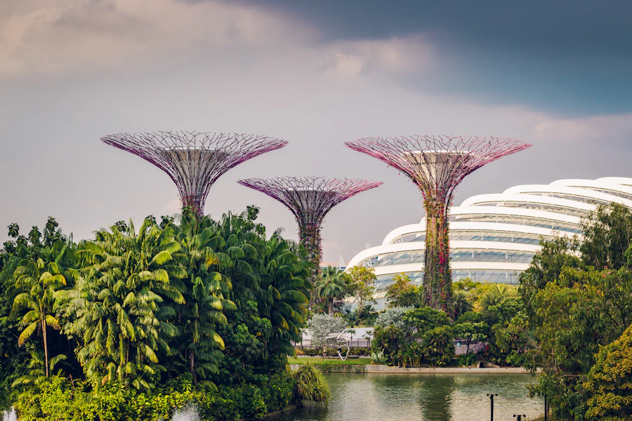 Supertree Grove สิงคโปร์