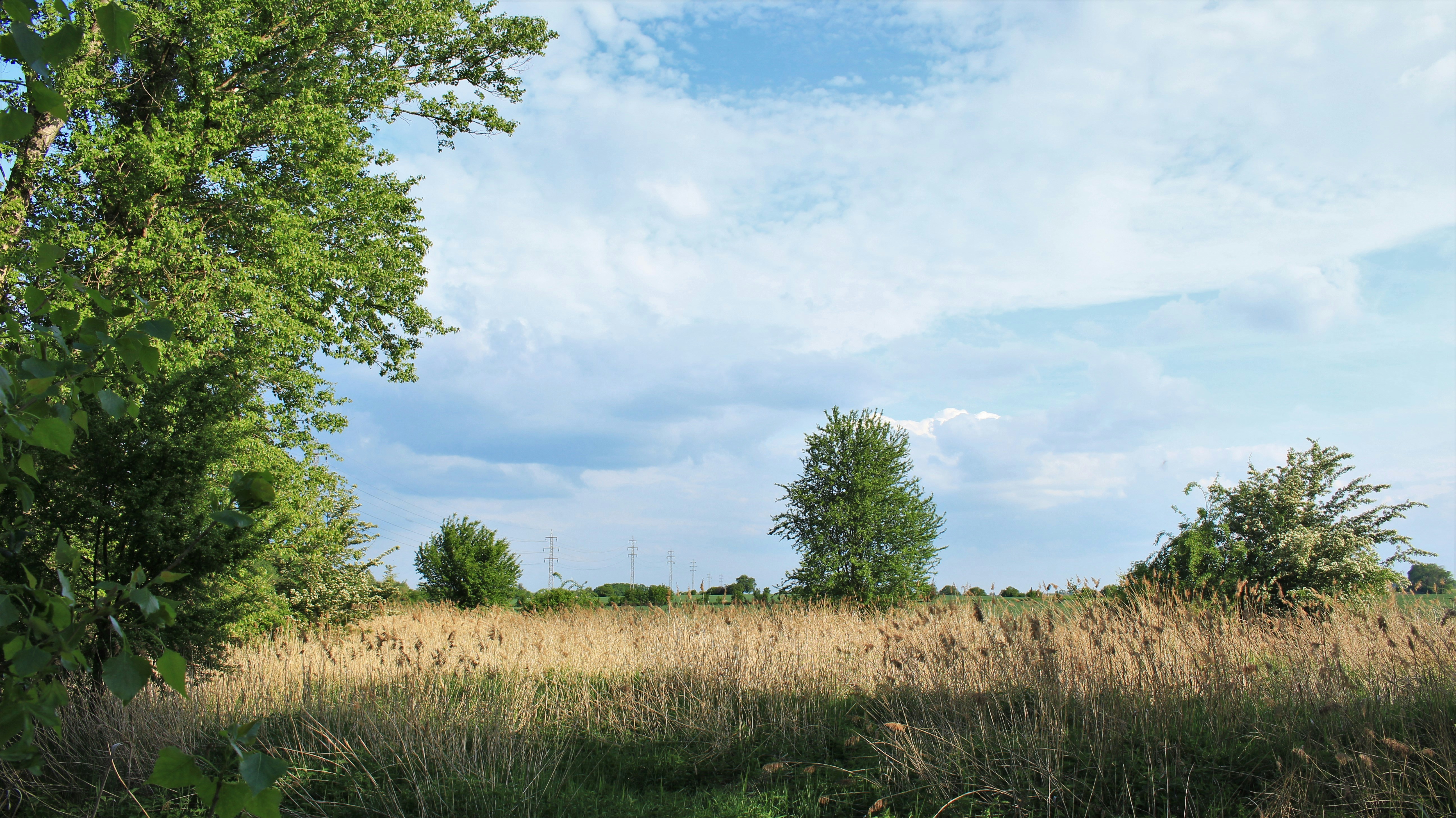 Photo by marjorylucabaxter