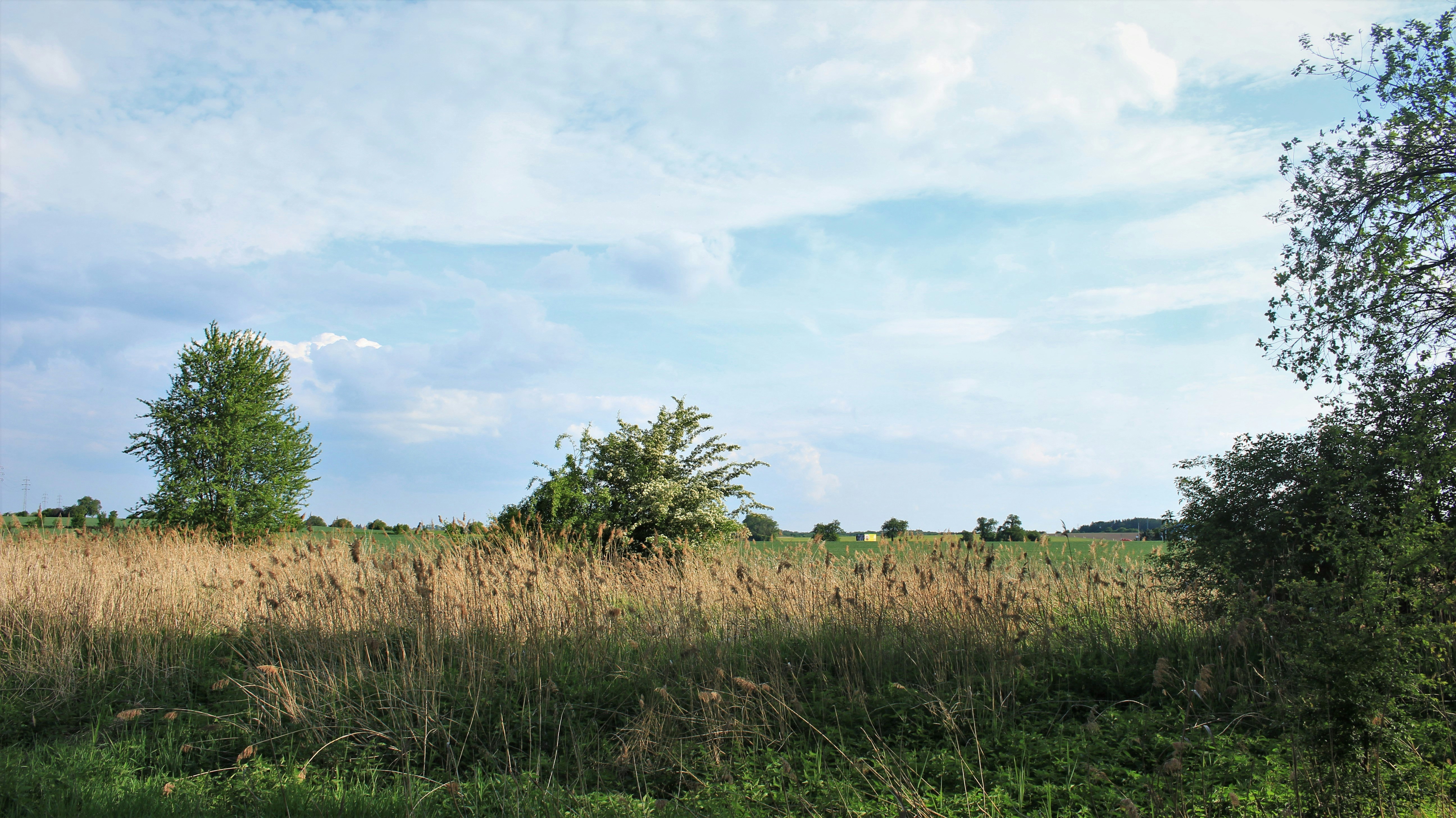 Photo by marjorylucabaxter