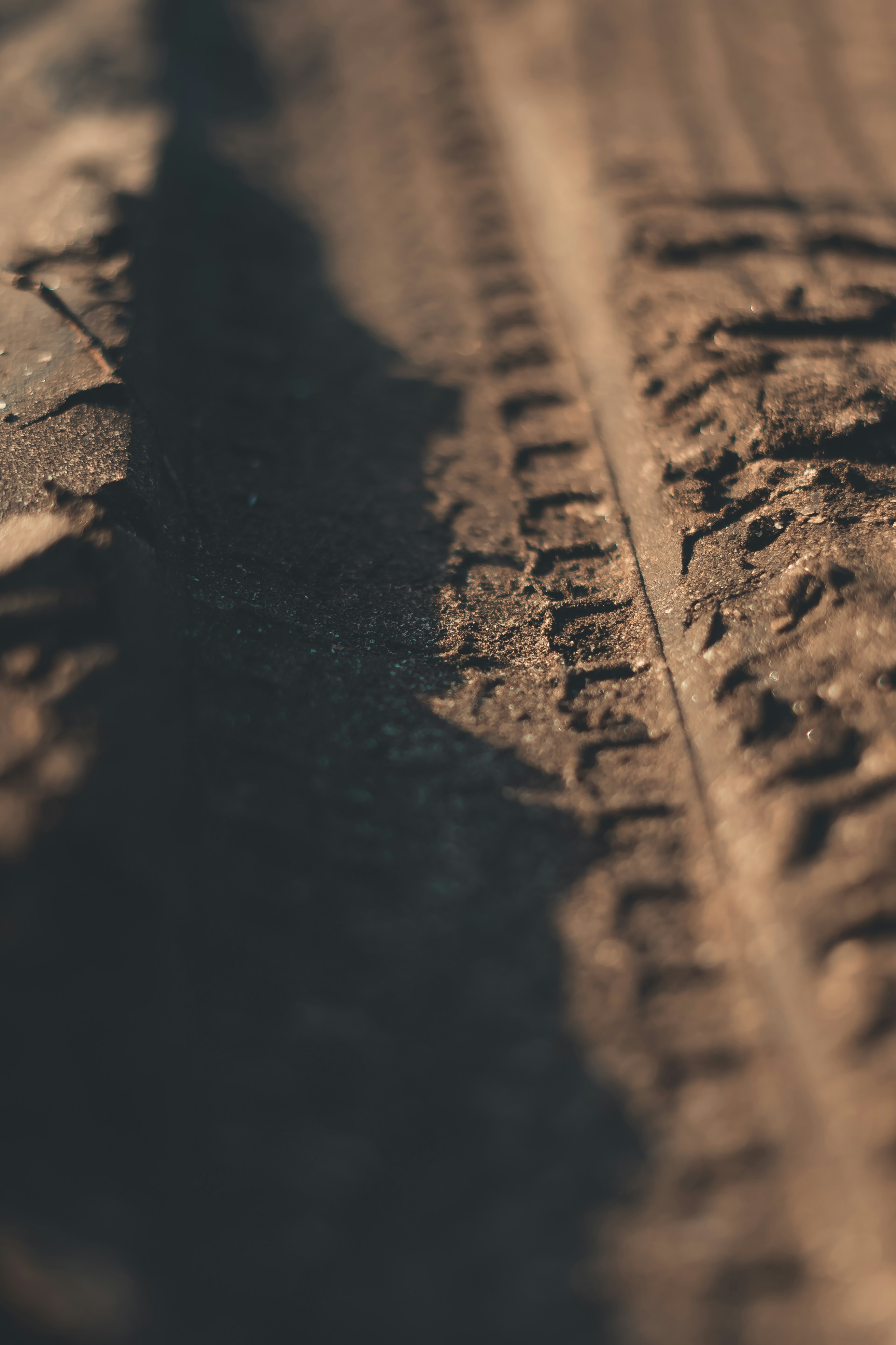 Photo by soakedinnirvana