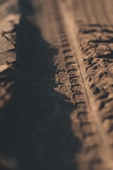 brown vehicle wheel print