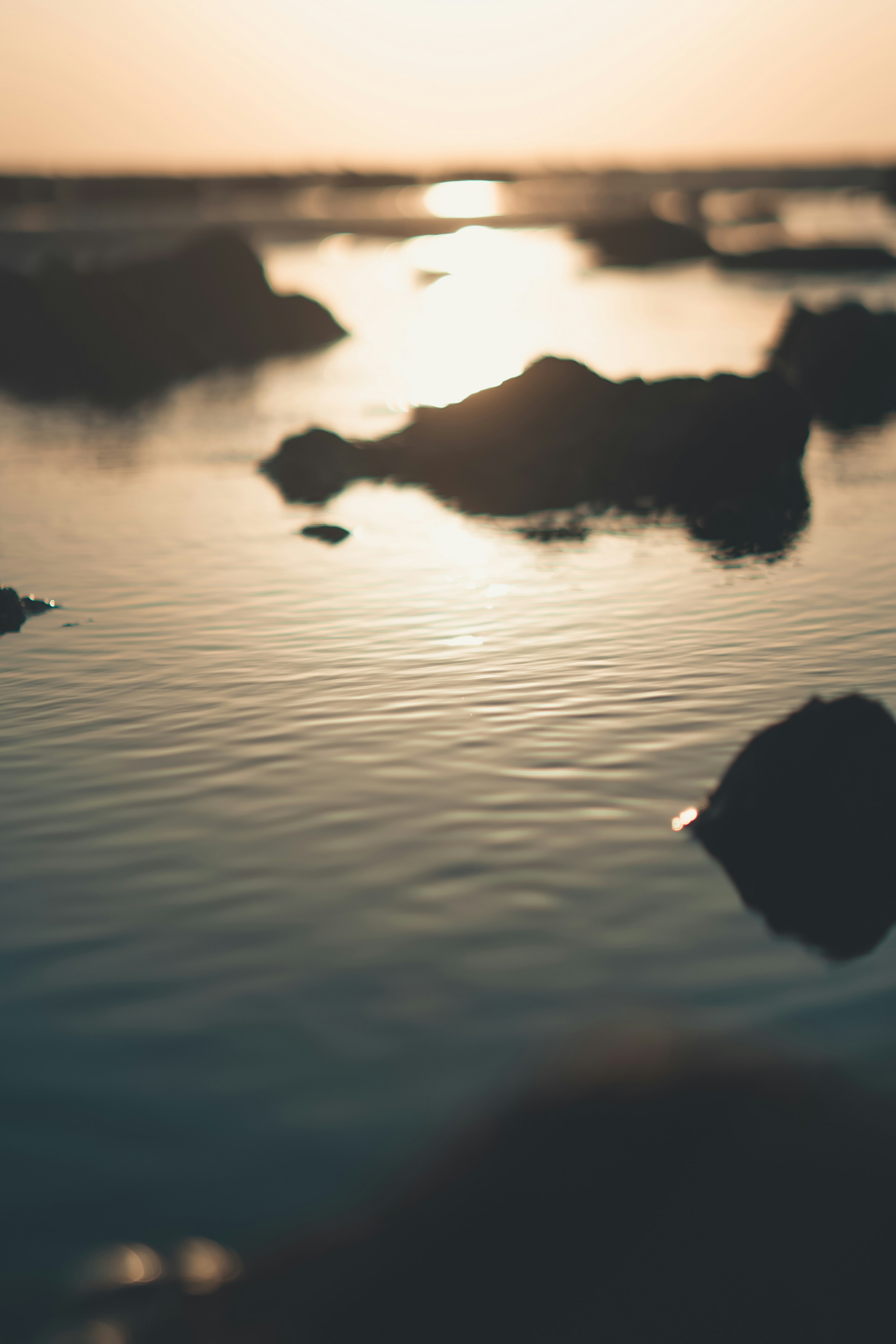 Photo by soakedinnirvana