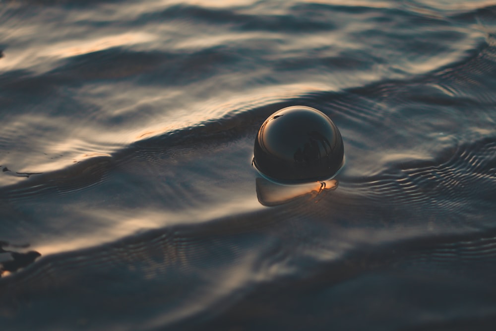 black ball in body of water