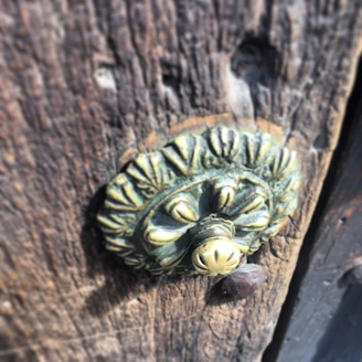 Close-up of a bronze door knob with a warm patina on a rustic wooden door
