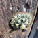 Close-up of a handcrafted bronze door handle with intricate detailing and warm lighting.