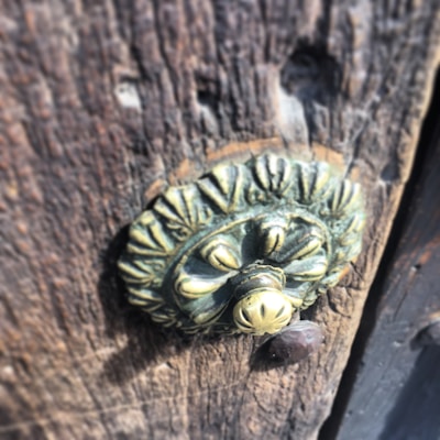 A close-up view of an ornate, circular brass door handle mounted on a textured, weathered wooden surface. The metal is intricately carved with a floral or leaf pattern, exhibiting signs of age and patina.