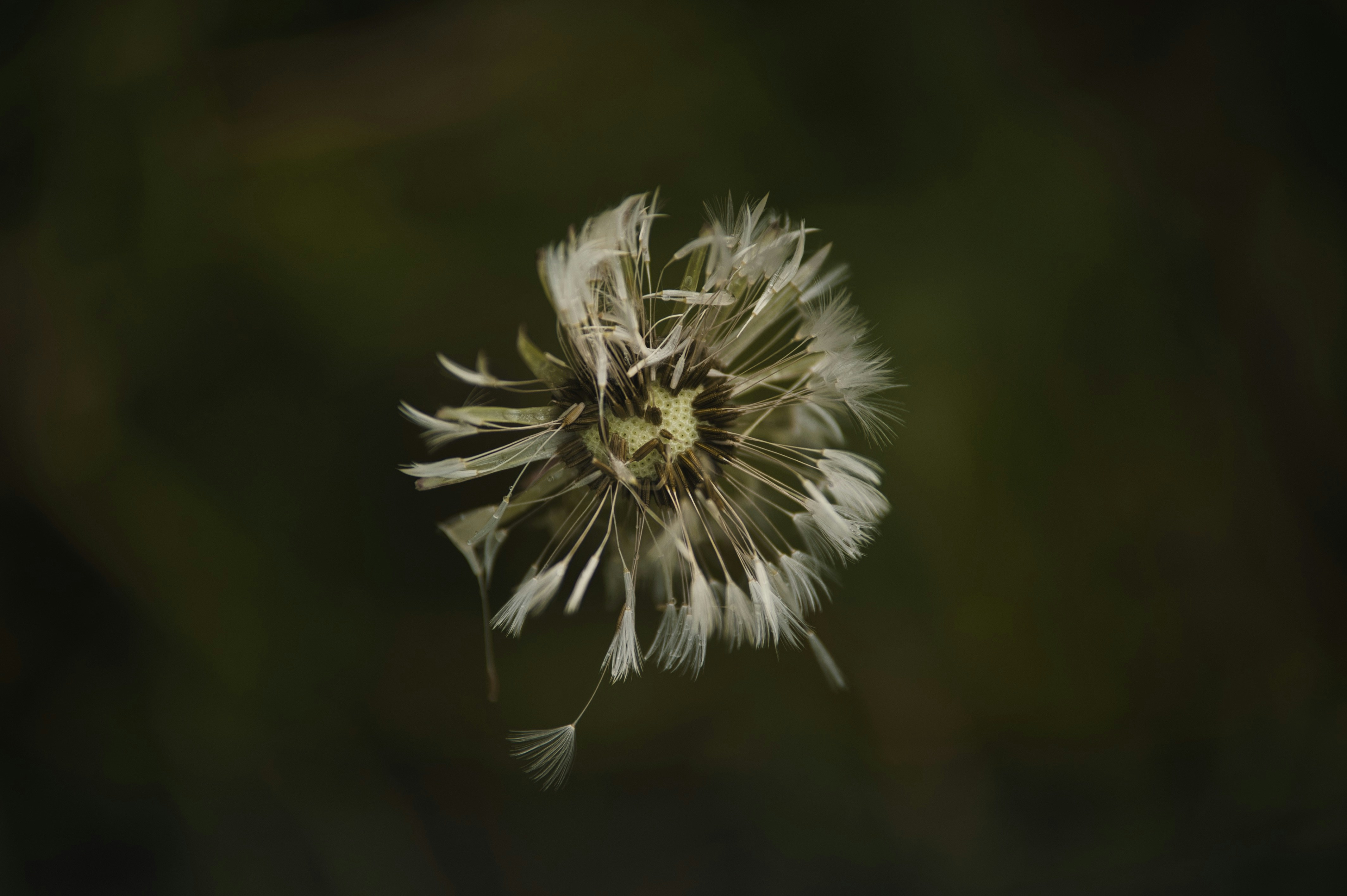 Photo by 0asa