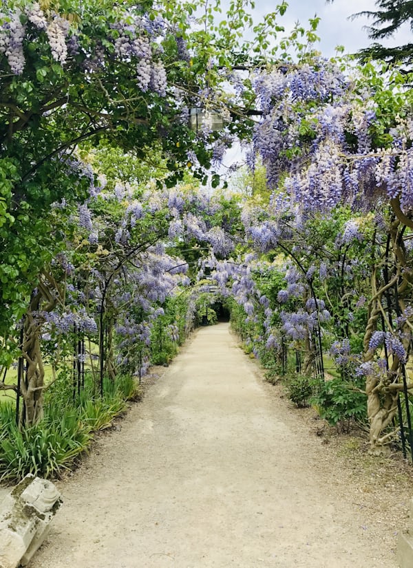 Tuinonderhoud Veldhoven