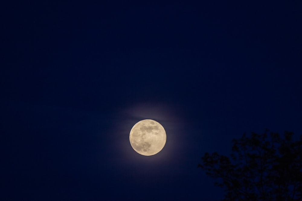 full moon at night