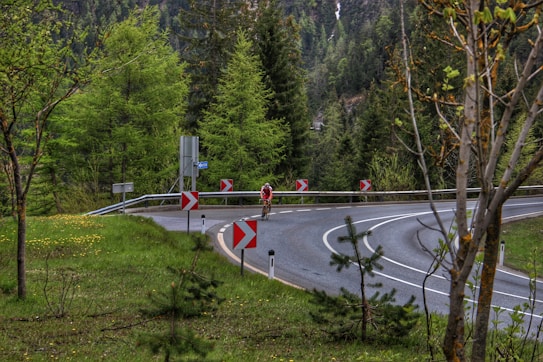 A cyclist is riding along a curving mountain road surrounded by lush green trees and foliage. Red and white chevron road signs indicate the curve ahead. The scene is set in a densely wooded area, with a backdrop of tall evergreen trees and a few scattered wildflowers along the roadside.