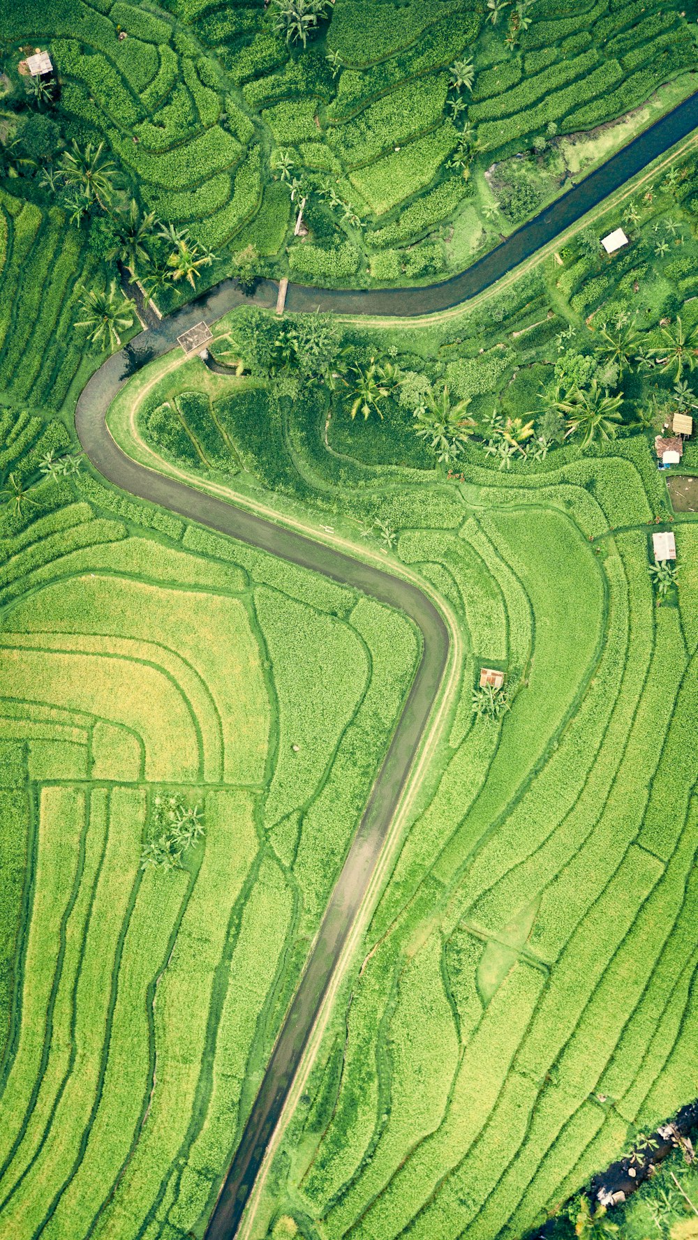 aerial photo of roa