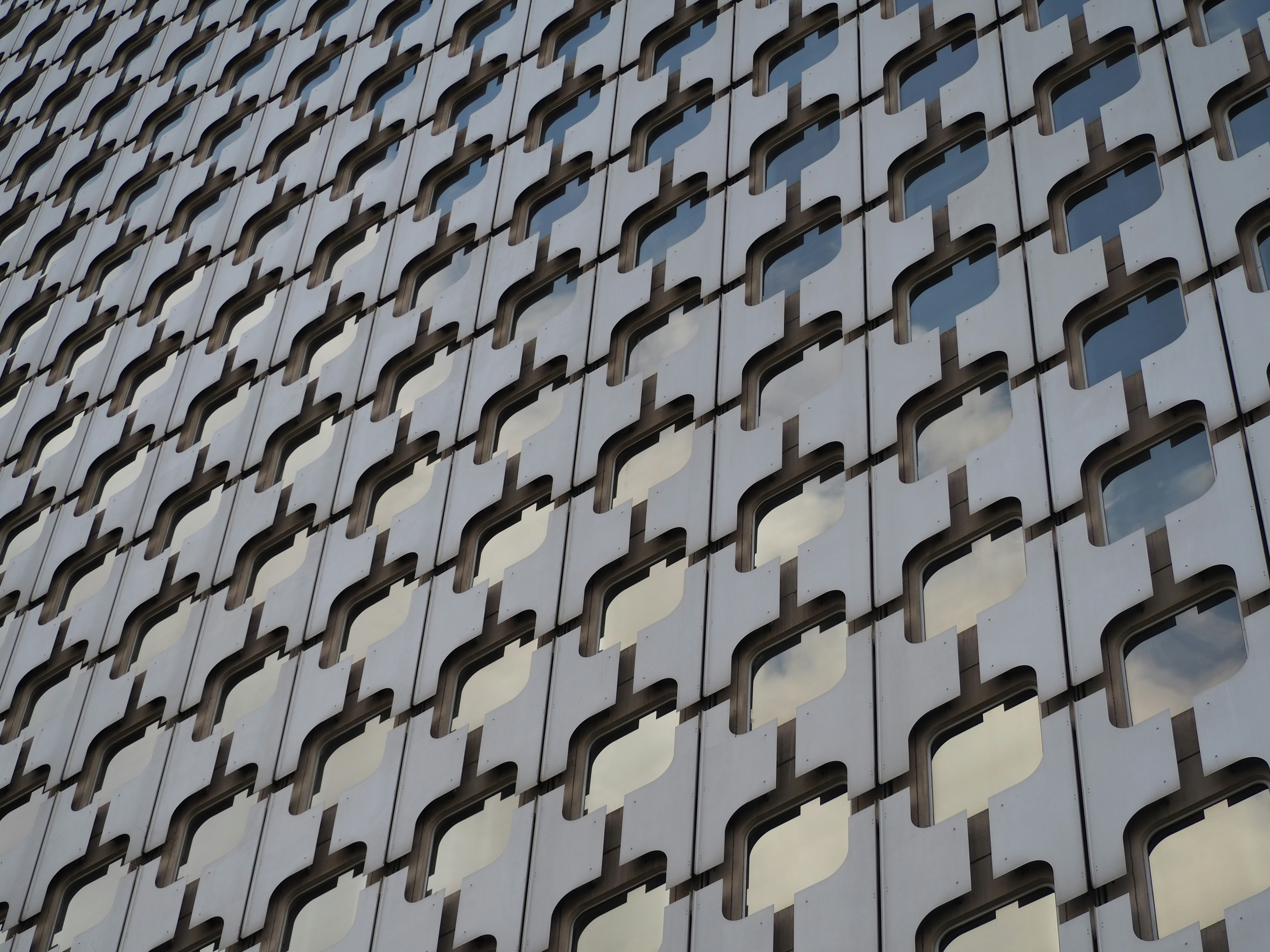 Photo by nimbus_vulpis