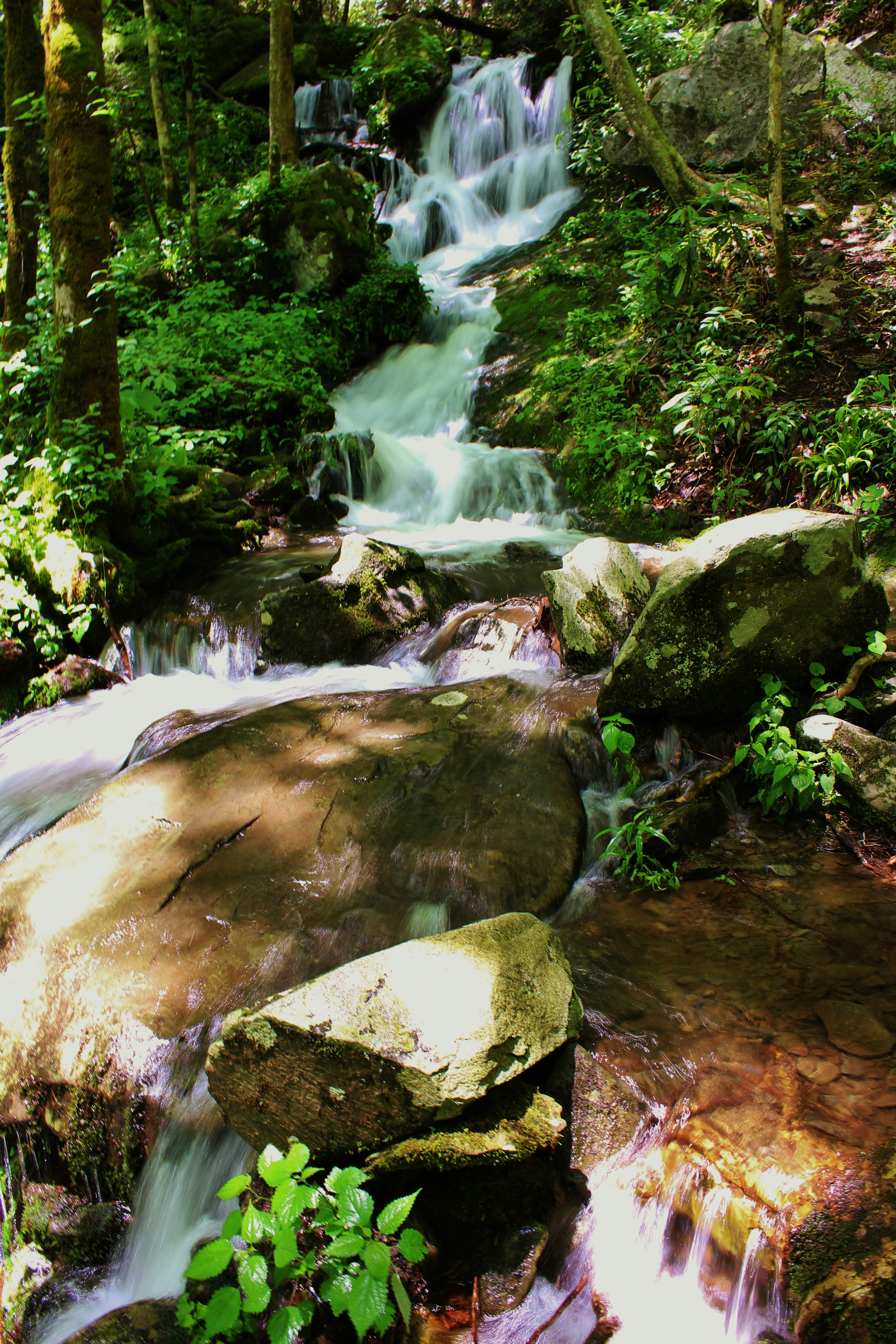 Photo by goldenwebbphotography