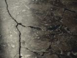 Close-up of foundation cracks identified during an inspection.