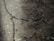 A close-up view of a cracked and weathered concrete surface with visible fractures and dark lines running through it.