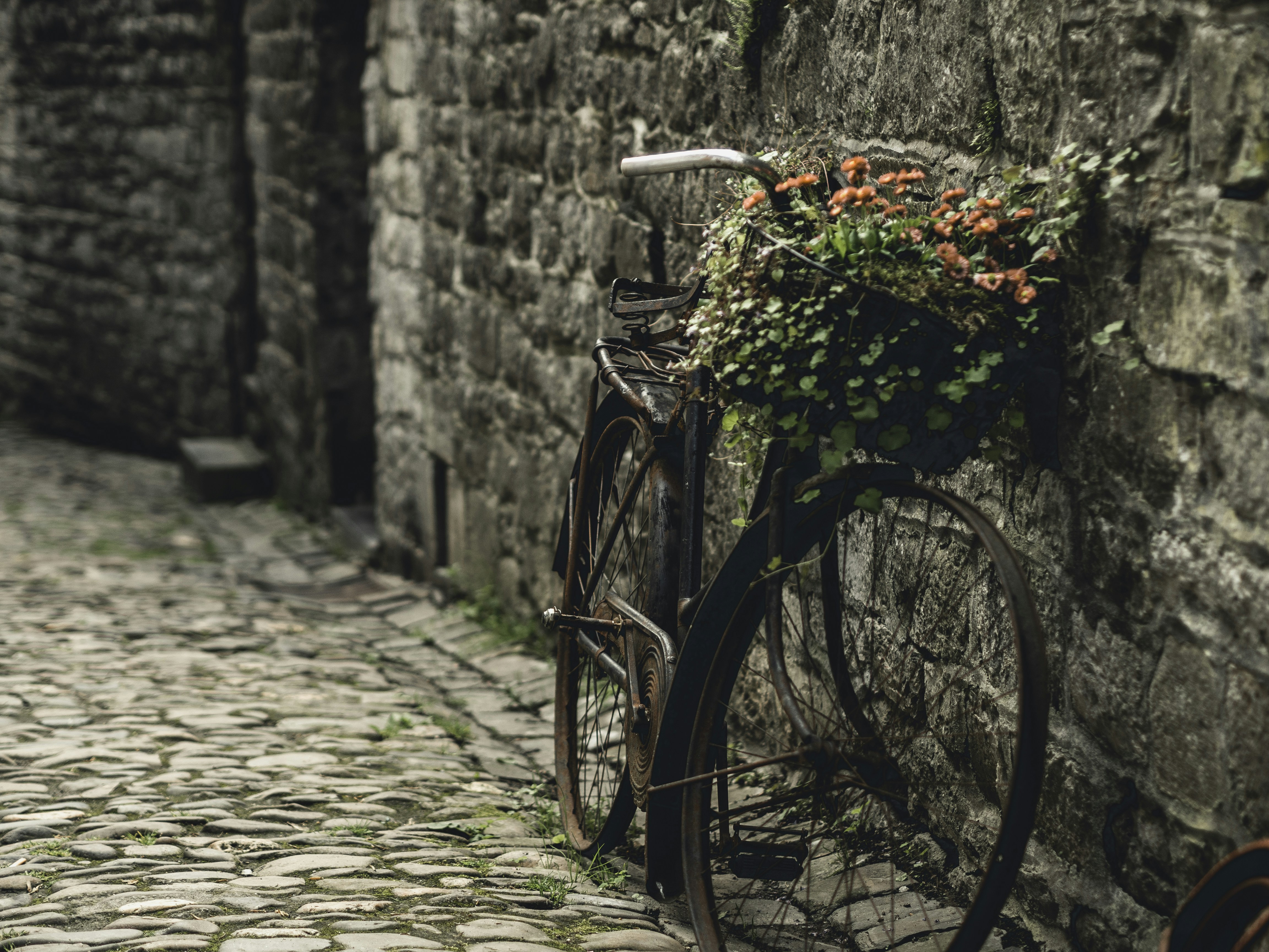 Photo by milandegraeve