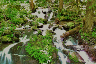 A peaceful nature scene with flowing water, representing emotional release.