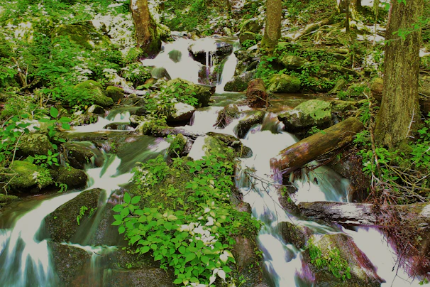 A peaceful nature scene with flowing water, representing emotional release.