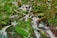 A serene woodland scene with a stream cascading over rocks, surrounded by lush greenery and trees. The water flows gently, creating a peaceful and harmonious atmosphere.