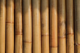 A close-up view of vertically aligned, natural bamboo stalks. The bamboo displays varying shades of light brown and tan, featuring some natural blemishes and knots. Sunlight creates shadows and highlights on the surface, emphasizing the texture and natural grains.
