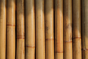 A close-up view of vertically aligned, natural bamboo stalks. The bamboo displays varying shades of light brown and tan, featuring some natural blemishes and knots. Sunlight creates shadows and highlights on the surface, emphasizing the texture and natural grains.