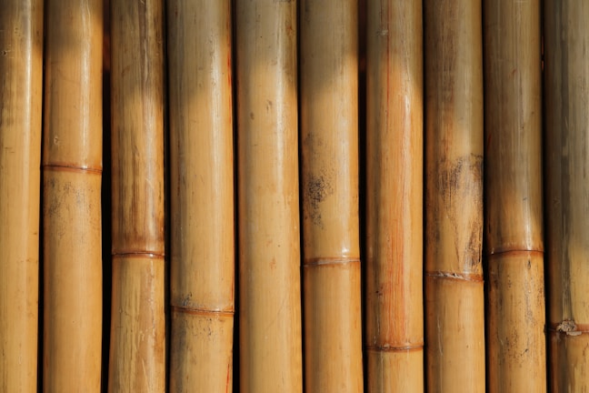 A close-up view of vertically aligned, natural bamboo stalks. The bamboo displays varying shades of light brown and tan, featuring some natural blemishes and knots. Sunlight creates shadows and highlights on the surface, emphasizing the texture and natural grains.