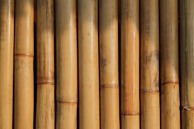 A close-up view of vertically aligned, natural bamboo stalks. The bamboo displays varying shades of light brown and tan, featuring some natural blemishes and knots. Sunlight creates shadows and highlights on the surface, emphasizing the texture and natural grains.