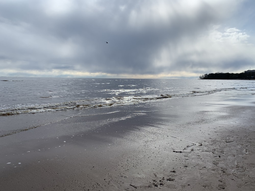 seashore at daytime