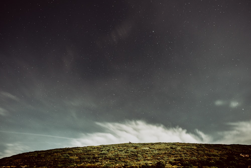 a grassy hill under a night sky with stars