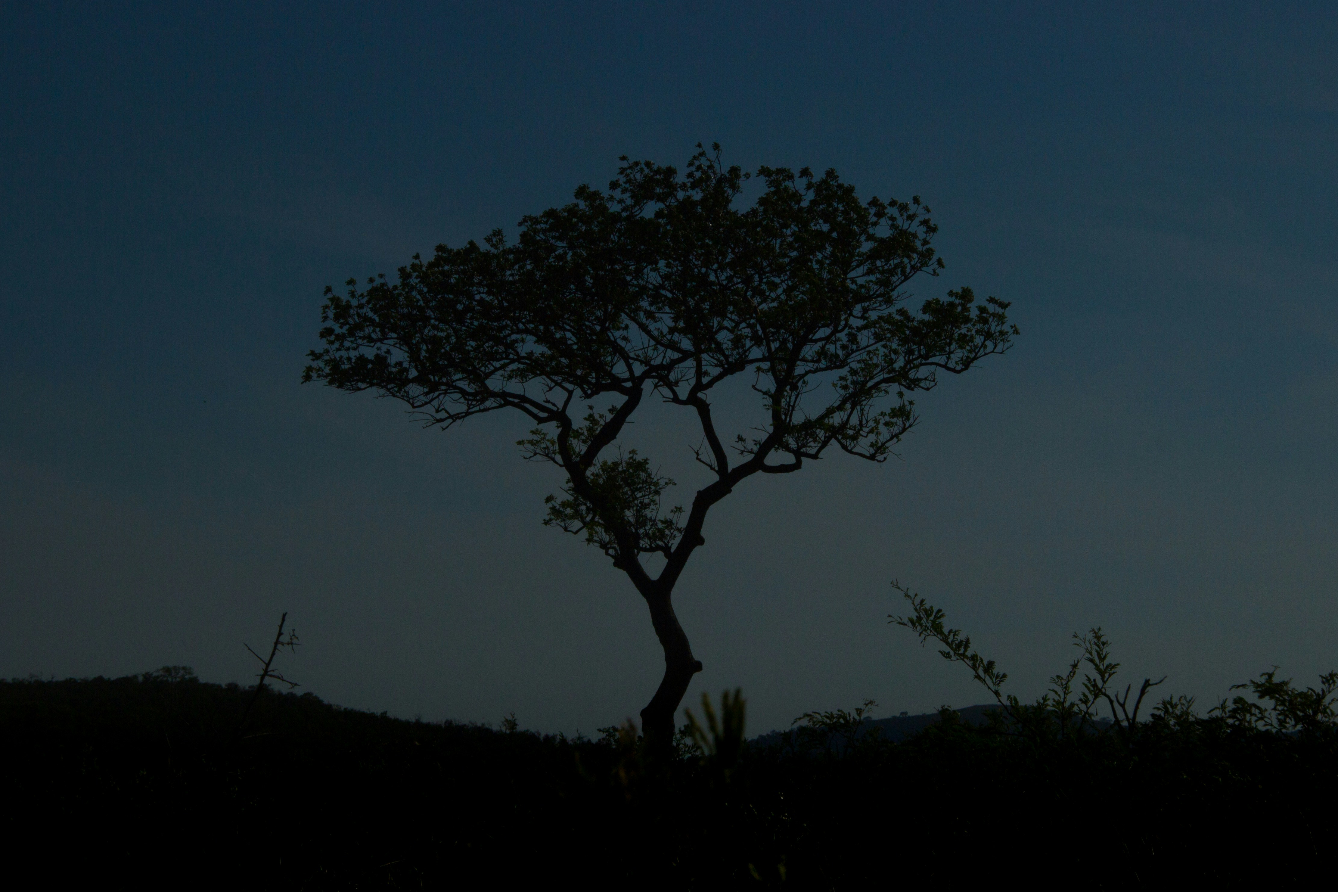 Photo by spring_fed_images