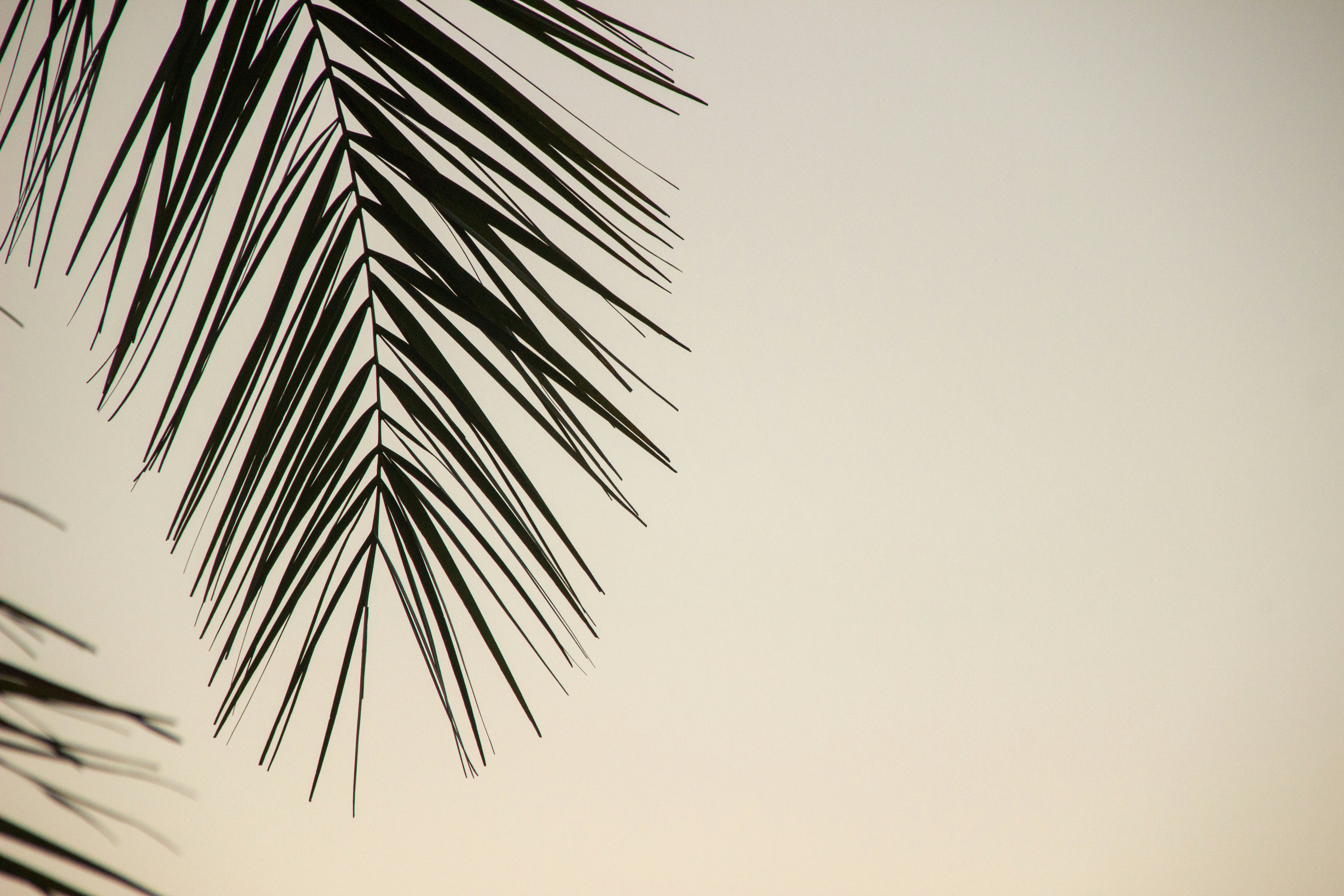 Photo by spring_fed_images