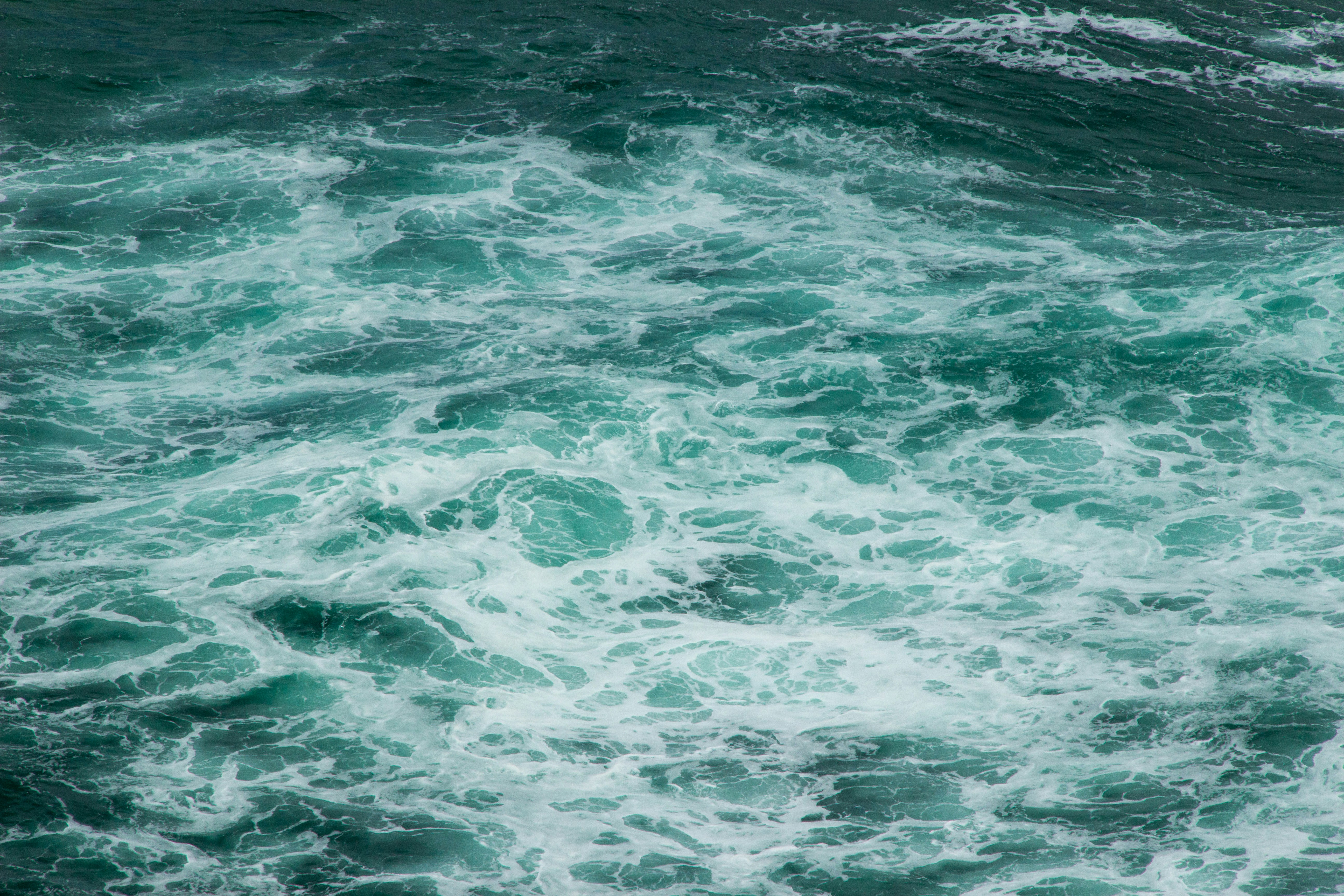 Photo by spring_fed_images