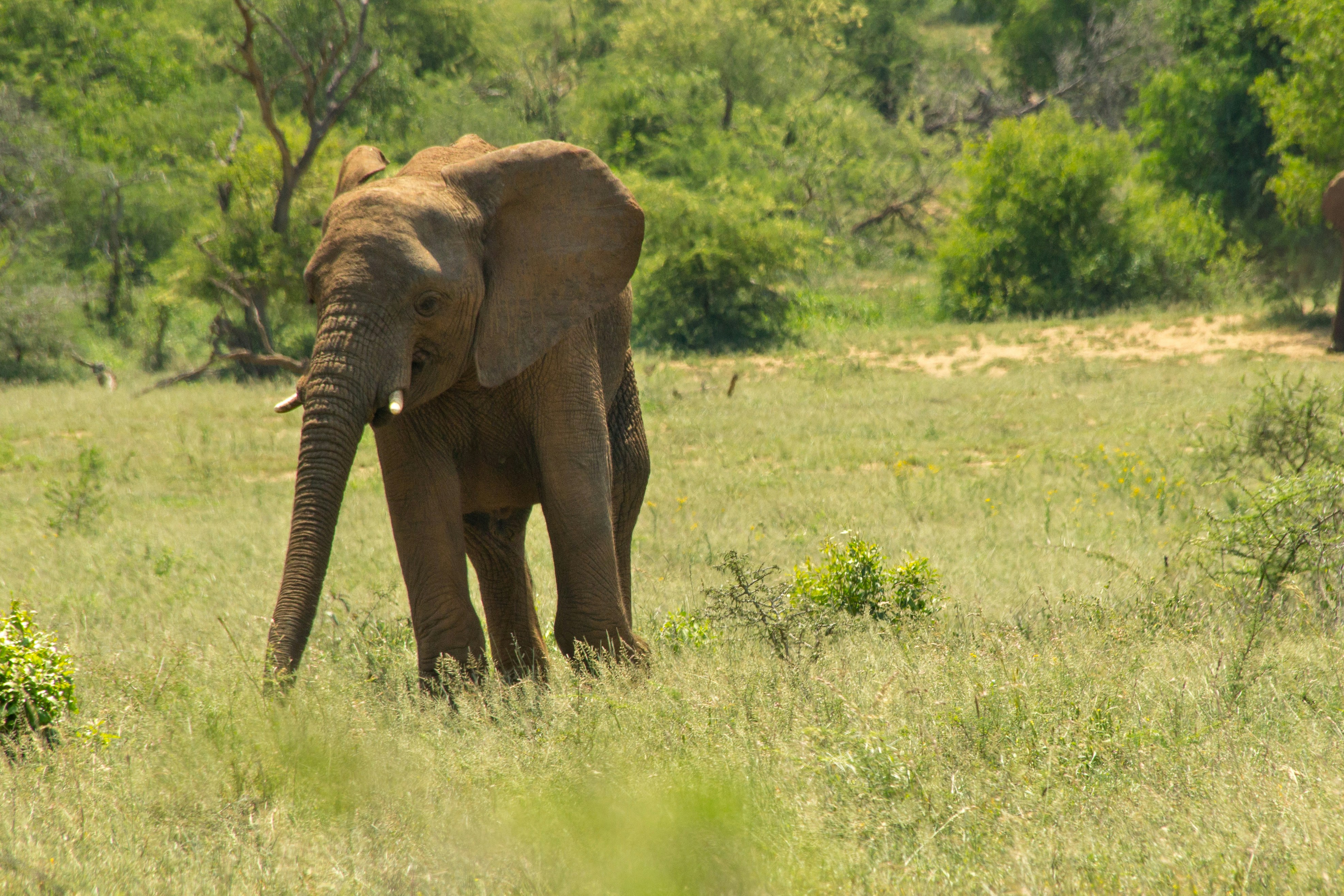 Photo by spring_fed_images