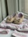 A pair of brown baby shoes with bows are placed on a patterned baby outfit with soft colors. The shoes have a soft, felt-like texture and are positioned on a hanger. The outfit features pastel hues with stripes and dotted patterns, creating a gentle and charming appearance.