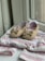 A pair of brown baby shoes with bows are placed on a patterned baby outfit with soft colors. The shoes have a soft, felt-like texture and are positioned on a hanger. The outfit features pastel hues with stripes and dotted patterns, creating a gentle and charming appearance.