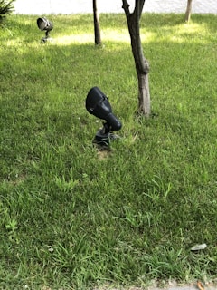 A well-maintained grassy area features two black outdoor lights or spotlights aimed at the base of young trees. Sunlight highlights patches of the grass, and the scene includes a paved path visible in the background.