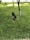A well-maintained grassy area features two black outdoor lights or spotlights aimed at the base of young trees. Sunlight highlights patches of the grass, and the scene includes a paved path visible in the background.