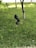 A well-maintained grassy area features two black outdoor lights or spotlights aimed at the base of young trees. Sunlight highlights patches of the grass, and the scene includes a paved path visible in the background.