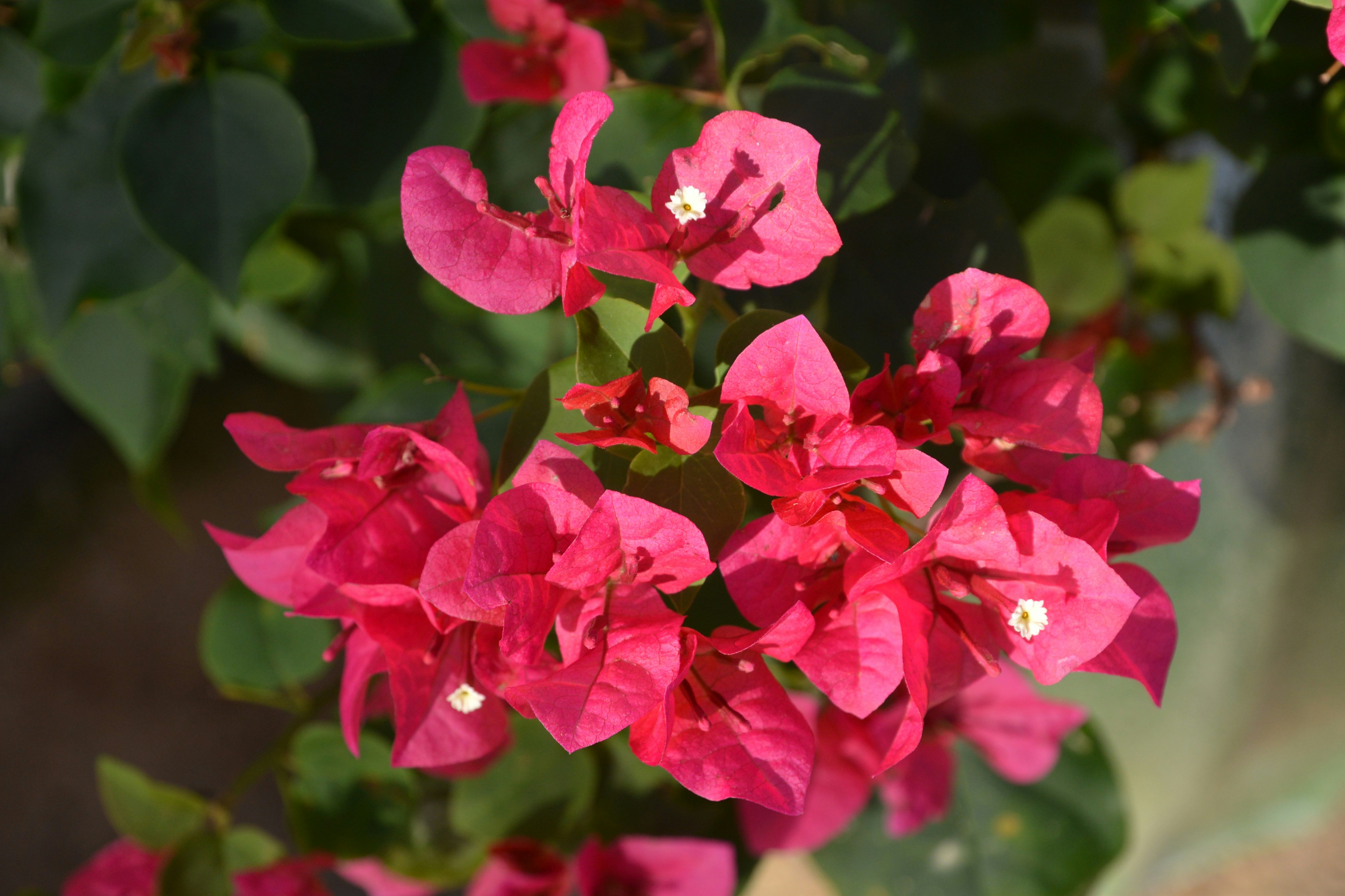 Photo by auteurdevie