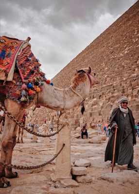 A camel adorned with colorful textiles and decorations stands near an ancient pyramid. An elderly man in traditional attire, holding a walking stick, walks past the camel. The background shows the massive stone structure of the pyramid under a cloudy sky.