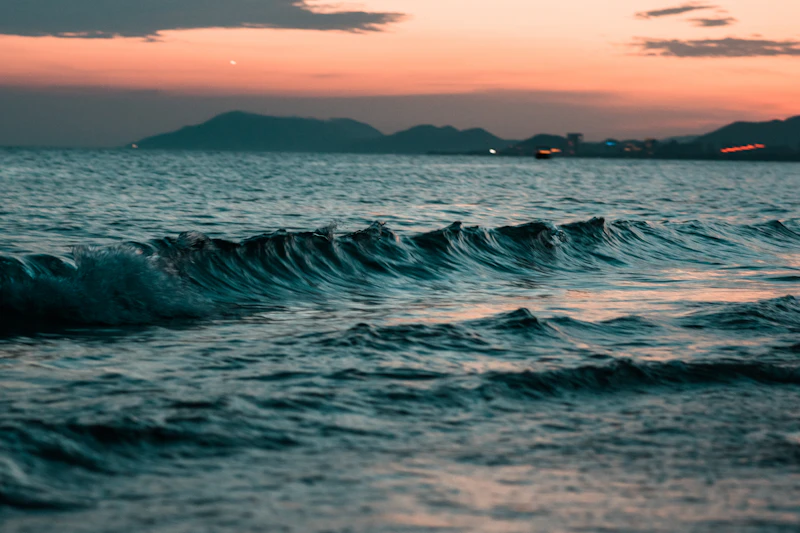 Kulit Buku Pelampung Penyelamat Automatik Pantai