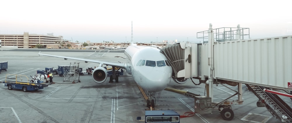 few people near airplane beside shipping container