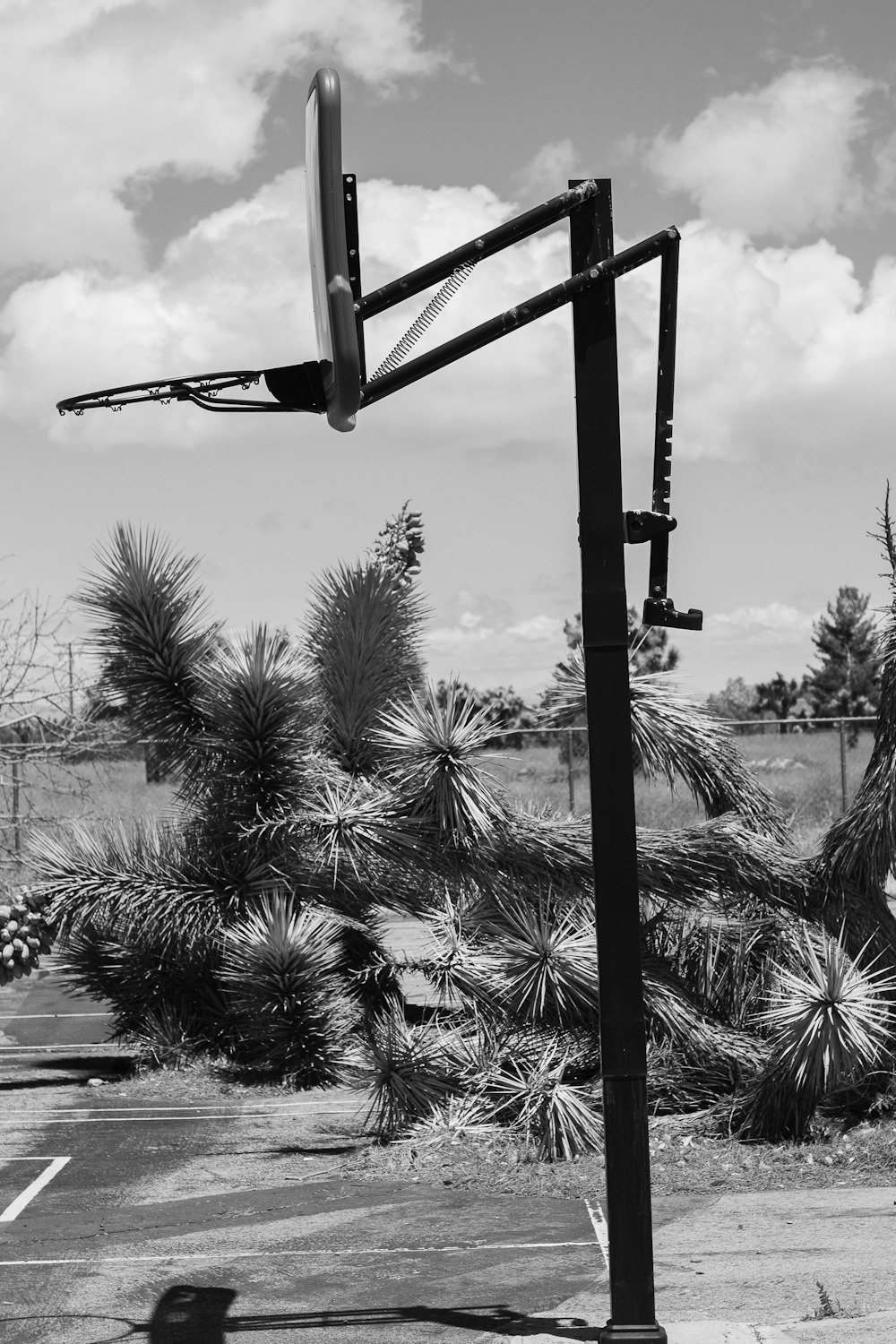 black basketball hoop grayscale photo